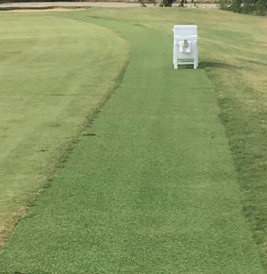 Trinity_Forest_350_d0a7a5cb-8882-437a-ac9d-54743a41e6f2